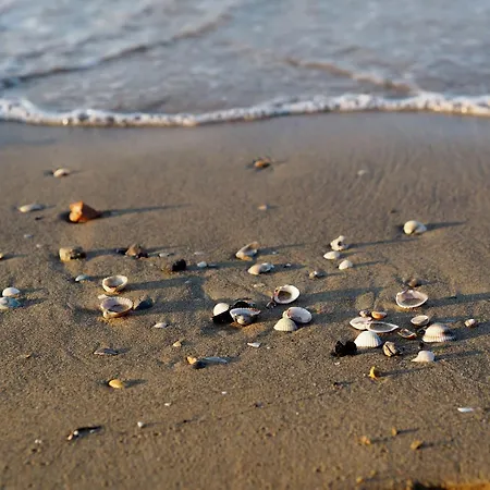 Apartment Cozy One-bedroom *
