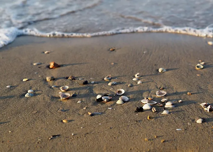 Lejlighed Cozy One-bedroom *